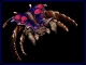8.gif (14880 bytes)